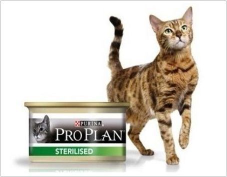 План за стерилизирани котки и кастрирани котки