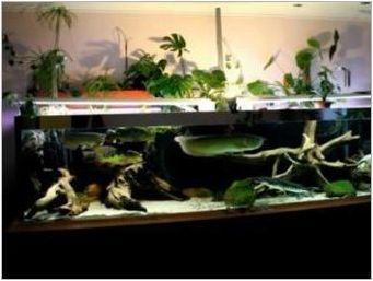 Попотници за аквариум: назначаване и сортове, правене на ръце