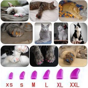 Предизвикателства за избора и инструкциите за използване на антихрафтове за котки