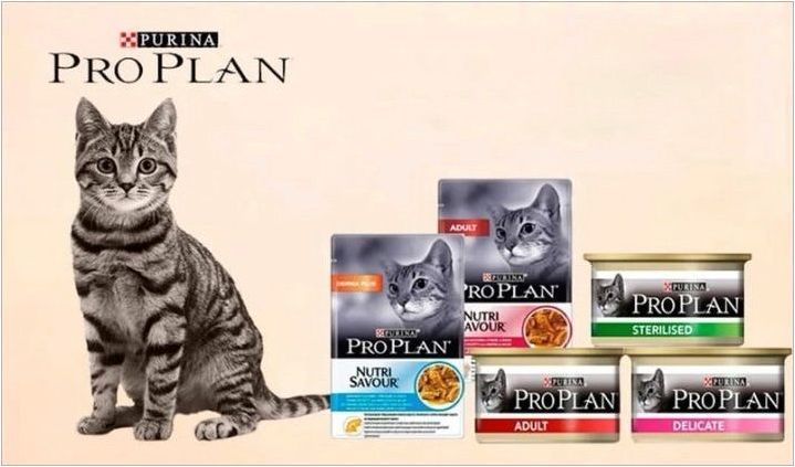 Преглед на влажна храна за котки и котки Purina Pro Plan