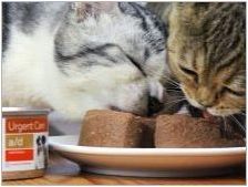 Разнообразие от влажна храна хълм & # 39 + s за котки