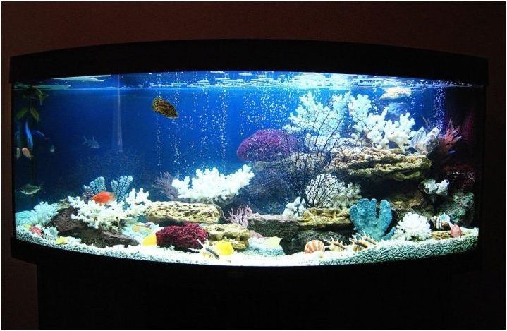 Регистрация на аквариум с капацитет от 200 литра