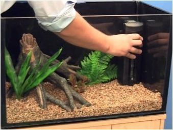 Стартиране на аквариум: Правила и инструкции по стъпка по стъпка