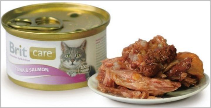 Super Premium Cat Feed: Описание, Марки, Съвети за продажба