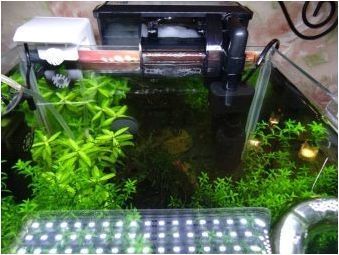 Външни филтри за аквариум: устройство, избор и монтаж