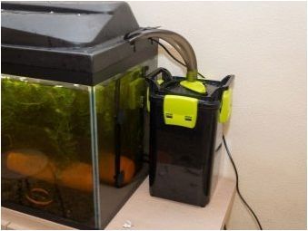 Външни филтри за аквариум: устройство, избор и монтаж
