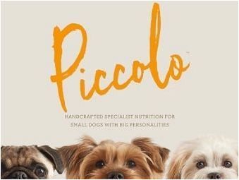 Всичко за кучета Piccolo