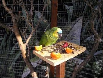 Всичко за вълнообразните папагали