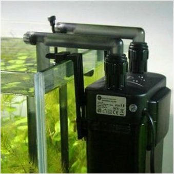 Вътрешни филтри за аквариум: описание, подбор и монтаж