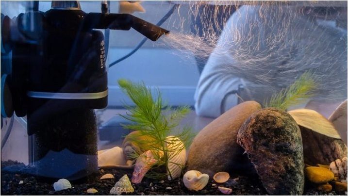 Вътрешни филтри за аквариум: описание, подбор и монтаж