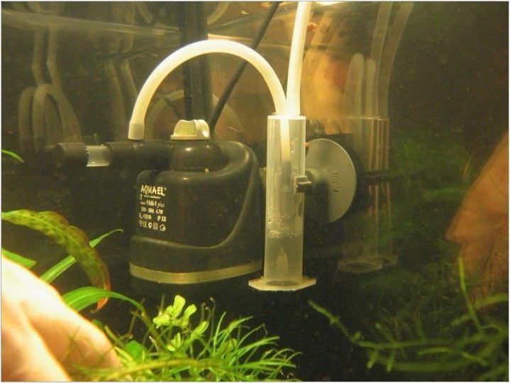 Възможно ли е да изключите филтъра в аквариума и по какви причини?