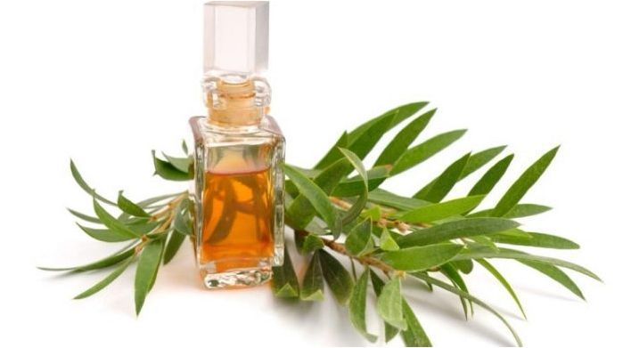 Свойства и препоръки за използване на масло от чаено дърво от гъбичките за нокти
