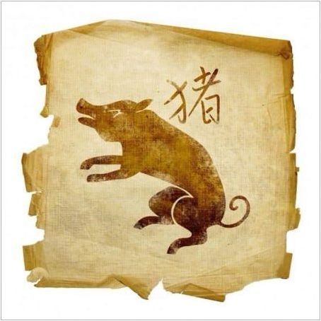Китайски хороскоп: Какво животно коя година се прилага?