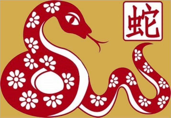 Змия Година: Характеристики характер и характер характер