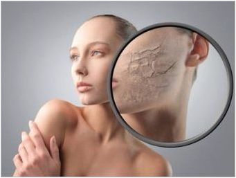 Характеристики на кожата на кожата
