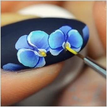 Orchids на ноктите: идеи за маникюр и модни тенденции