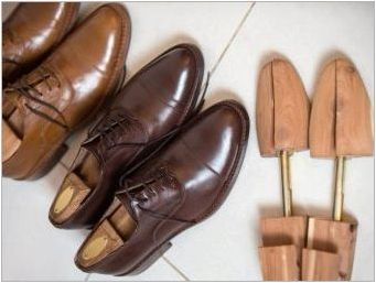 Носилки за обувки: функции, видове, препоръки за избор