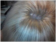Цвят на косата на мишката: описание, плюсове и минуси