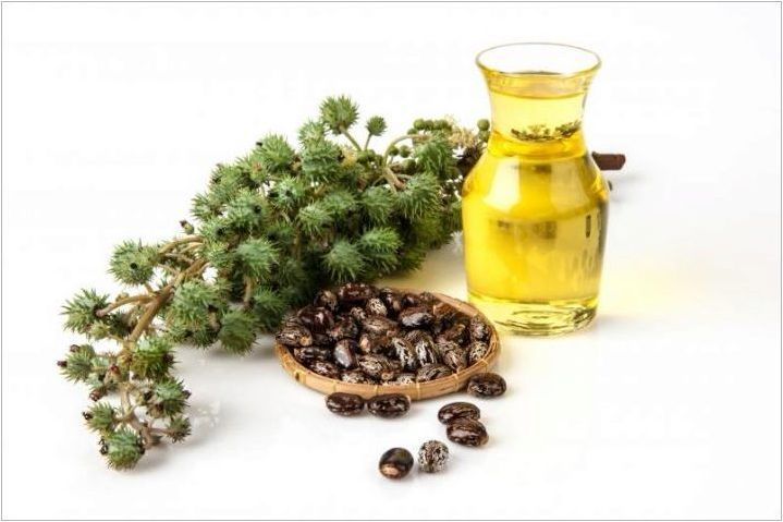 Характеристики на употребата на рициново масло за мигли