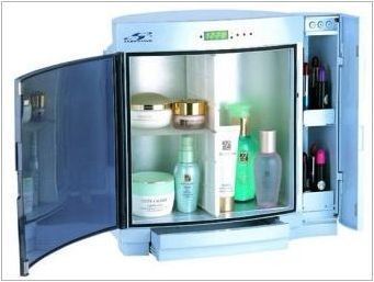 Хладилник за козметика: преглед на модели и селекционни функции