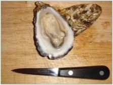 Oysters Knives: Какво изглеждате и как да ги използвате?