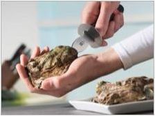 Oysters Knives: Какво изглеждате и как да ги използвате?
