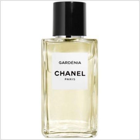 Парфюмерия Chanel - най-добрите аромати от марката