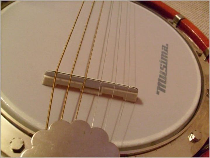 Характеристики на Banjo и тънкостите на играта върху него