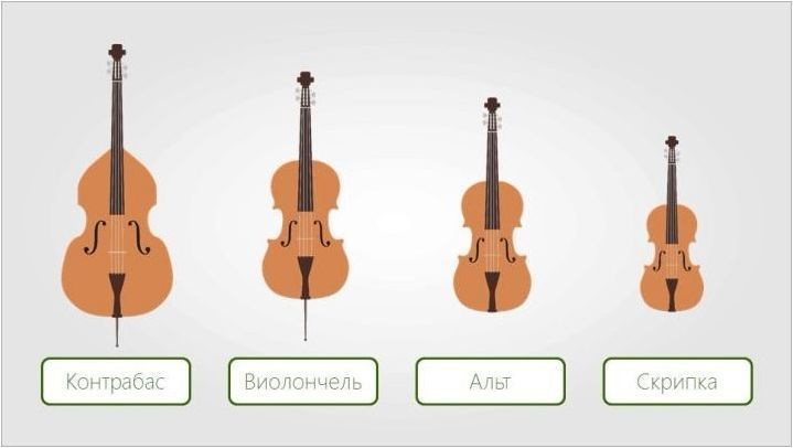 Разлики от виолончело