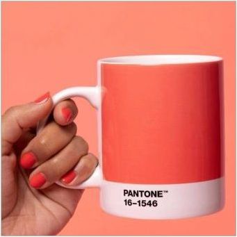Основният цвят от 2020 г.: Pantone нарече цвета, който ще бъде най-модерният през следващата година