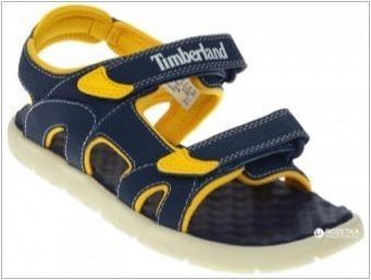 Детски обувки Timberland: Характеристики, асортимент, избор