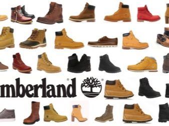 Зимни обувки Timberland: описание, асортимент, критерии за подбор