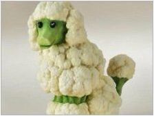 Cauliflower занаяти