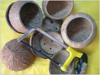 Какви занаяти могат да бъдат направени от кокос?
