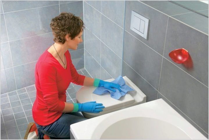 Как да почистите тоалетната от ръжда и плака?