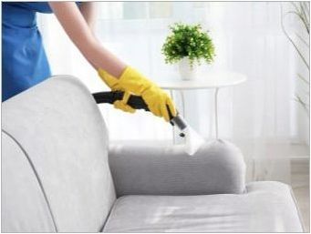 Парни почистващи средства за мебели: характеристики, правила за избор и работа