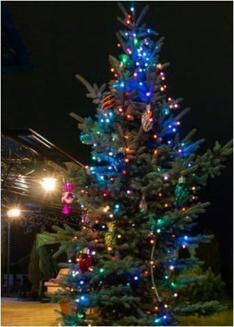 Опции Декорация на уличното дърво за новата година