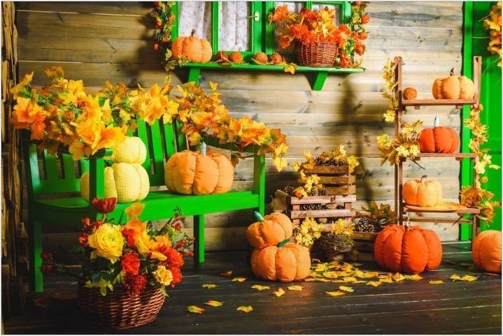 Разнообразие от есенна фотокон