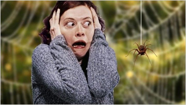 Arachnofobia: симптоми и начини за елиминиране