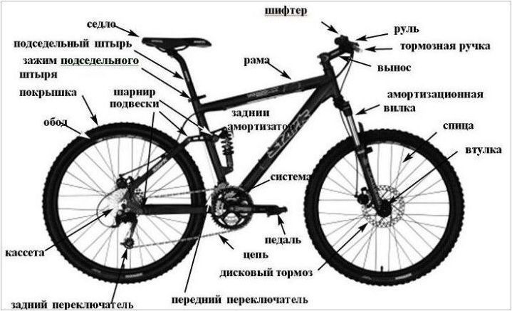 Дву живи велосипеди: характеристики, разновидности, марки, избор