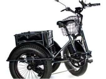 Електрически велосипеди с три колела: сортове, марки, избор