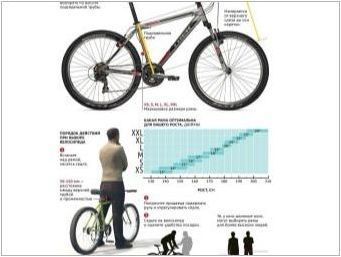 Как да изберем размер на велосипед за растеж?
