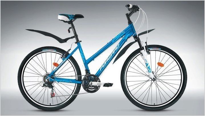Какъв велосипед е по-добър: напред или stels?