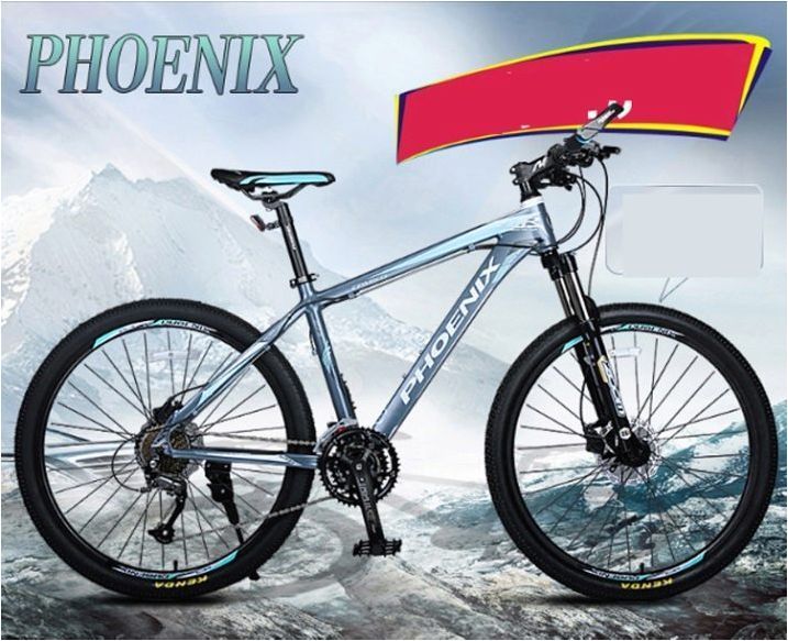 Phoenix Bikes: преглед на модела