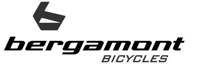 Велосипеди Бергамонт: Характеристики на моделите