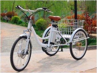 Възрастни триколесни електрически велосипеди: функции, марки, избор, употреба