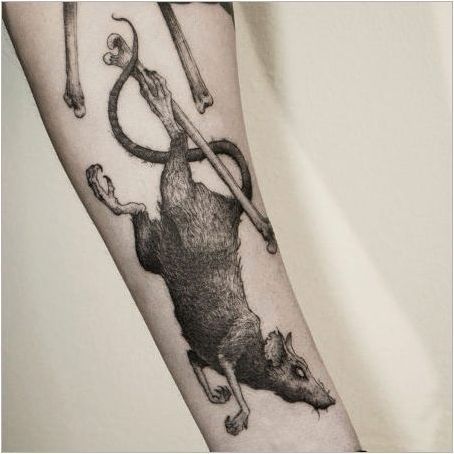 Какво правят татуировката под формата на плъхове и къде да ги приложите?