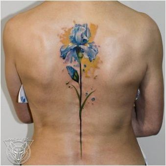 Стойността на татуировката под формата на ирис и опциите за нейните скици
