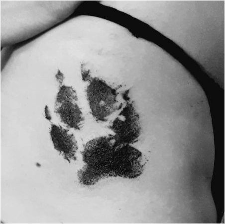 Tattoo & # 171 + Lap Wolf & # 187 +: стойност и скици