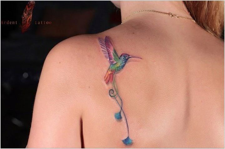 Tattoo Общ преглед с Hummingbird